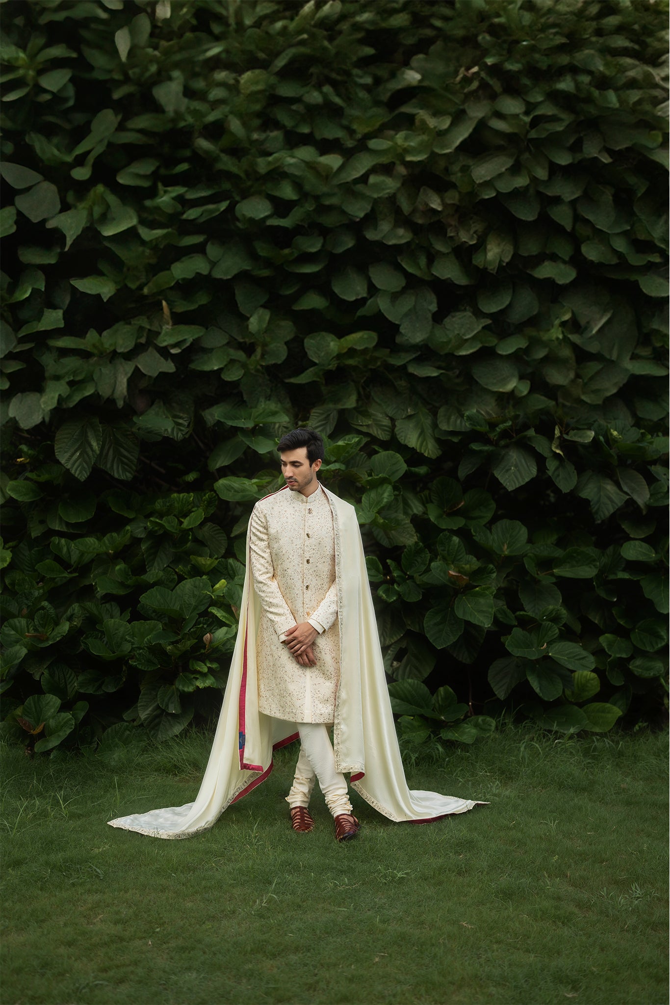 Butter Yellow Sherwani