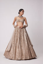 Load image into Gallery viewer, LIGHT BEIGE HAND EMBROIDERED LEHENGA SET
