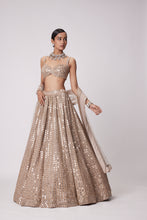 Load image into Gallery viewer, LIGHT BEIGE HAND EMBROIDERED LEHENGA SET

