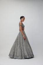 Load image into Gallery viewer, Crystal Grey Sequins embroidered Lehenga Set
