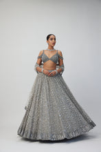 Load image into Gallery viewer, Crystal Grey Sequins embroidered Lehenga Set
