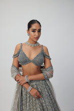 Load image into Gallery viewer, Crystal Grey Sequins embroidered Lehenga Set
