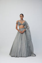 Load image into Gallery viewer, Crystal Grey Sequins Scattered Lehenga Set
