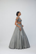 Load image into Gallery viewer, Crystal Grey Sequins Scattered Lehenga Set
