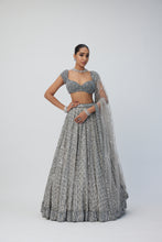 Load image into Gallery viewer, Crystal Grey Sequins Embroidered Lehenga Set
