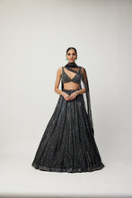 Load image into Gallery viewer, Black crystal Linear Embroidered Lehenga Set
