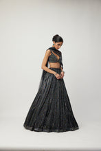 Load image into Gallery viewer, Black crystal Linear Embroidered Lehenga Set
