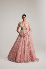 Load image into Gallery viewer, Dusty Rose Organza Long pearl tassels lehenga set
