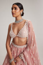 Load image into Gallery viewer, Dusty Rose Organza Long pearl tassels lehenga set
