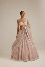 Load image into Gallery viewer, Ash Pink linear embroidered Organza Lehenga Set
