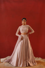 Load image into Gallery viewer, Blush pink dupion silk lehenga choli set
