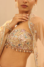 Load image into Gallery viewer, Nude embroidered lehenga set
