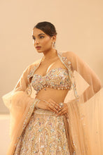 Load image into Gallery viewer, Nude embroidered lehenga set

