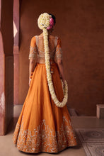 Load image into Gallery viewer, Rust orange embroidered blouse, shimmer tissue lehenga and dupatta
