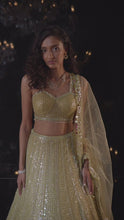 Load and play video in Gallery viewer, Lime Sequin Lehenga Set
