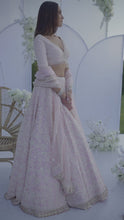 Load and play video in Gallery viewer, Blush Pearl Lehenga Set
