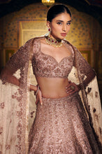 Load image into Gallery viewer, Rose Gold Three-Dimensional Lehenga Set
