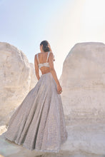 Load image into Gallery viewer, Coffee Silver Lehenga Set
