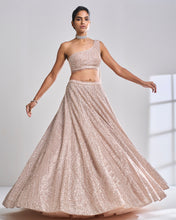 Load image into Gallery viewer, Rose Gold Pearl Lehenga Set
