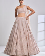 Load image into Gallery viewer, Rose Gold Pearl Lehenga Set
