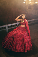 Load image into Gallery viewer, Red Sequin Lehenga Set
