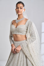 Load image into Gallery viewer, Silver Pearl Lehenga Set
