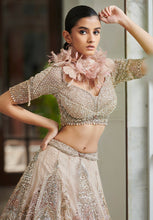 Load image into Gallery viewer, Pink Muted Shimmer Tulle Bridal Lehenga Set
