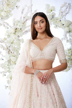 Load image into Gallery viewer, Blush Pearl Lehenga Set
