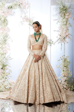 Load image into Gallery viewer, Rose Gold Trail Lehenga Set
