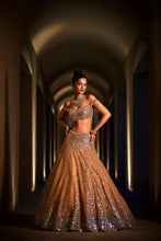 Load image into Gallery viewer, Coffee Leaf Lehenga Set
