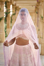 Load image into Gallery viewer, Mauve Pearl Lehenga Set
