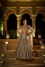 Load image into Gallery viewer, Gold Silver Lehenga Set
