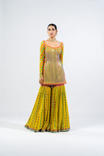 Load image into Gallery viewer, MULTI COLOR MOSS GREEN SHARARA SET
